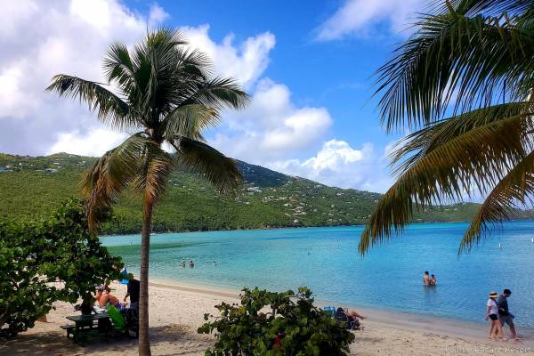 Palm-lined beach in St. Thomas, U.S. Virgin Islands, featuring calm turquoise waters, sandy shoreline, swimmers and beachgoers relaxing along the coast, and lush green hills rising across the bay beneath a bright blue sky with scattered clouds.