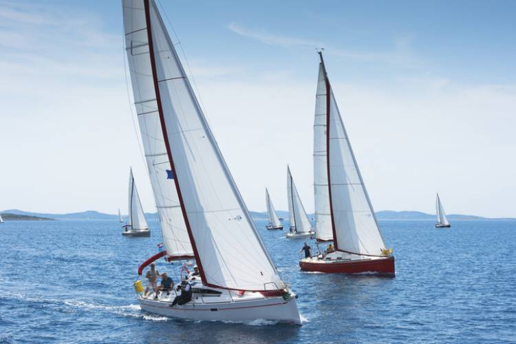 Regatta sailboat race