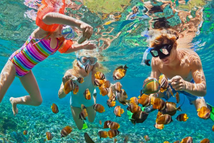 Happy family - father, mother, child in snorkeling mask dive underwater with tropical fishes in coral reef sea pool.